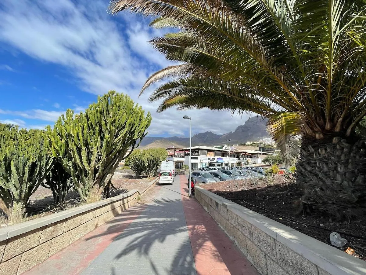 Cosy Apartment Costa Adeje   Costa Adeje (Tenerife)